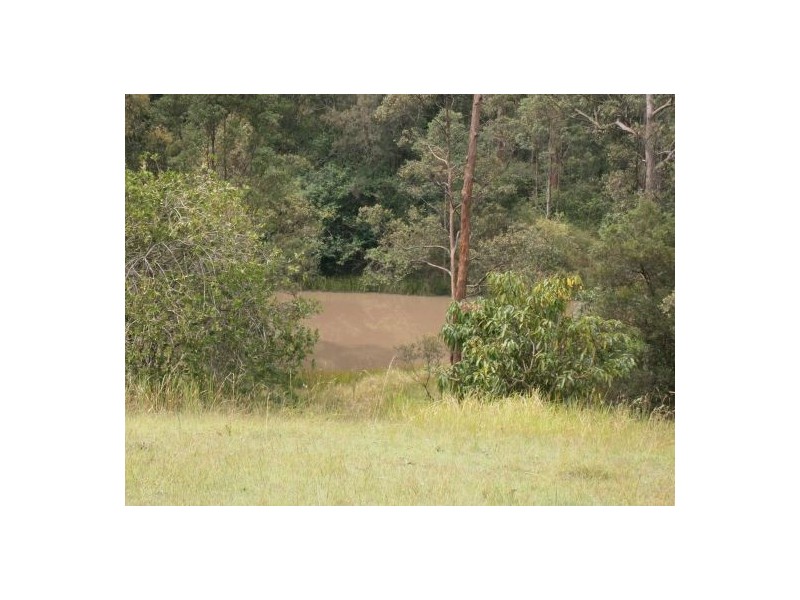 1896 Paddys Flat Road, Tabulam NSW 2469