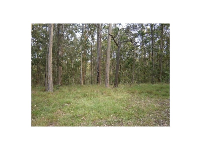 1896 Paddys Flat Road, Tabulam NSW 2469