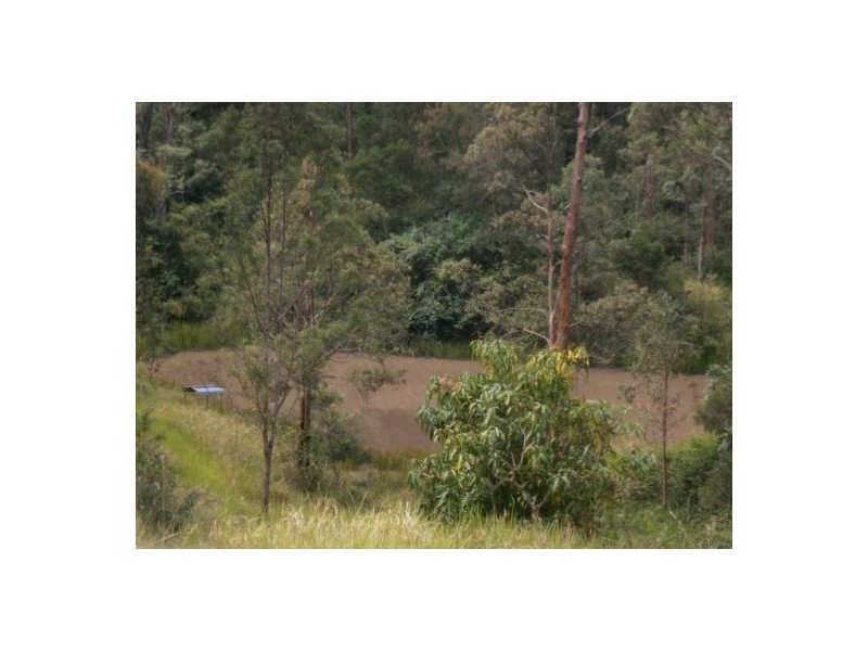 1896 Paddys Flat Road, Tabulam NSW 2469