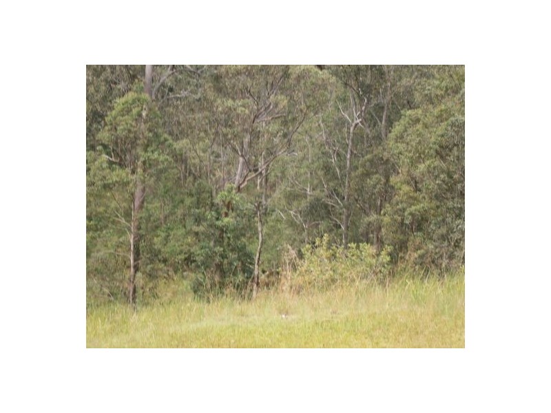 1896 Paddys Flat Road, Tabulam NSW 2469