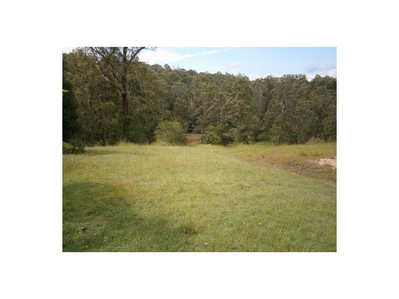 1896 Paddys Flat Road, Tabulam NSW 2469