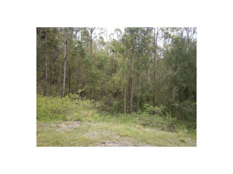 1896 Paddys Flat Road, Tabulam NSW 2469