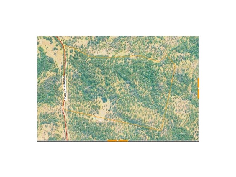 1896 Paddys Flat Road, Tabulam NSW 2469