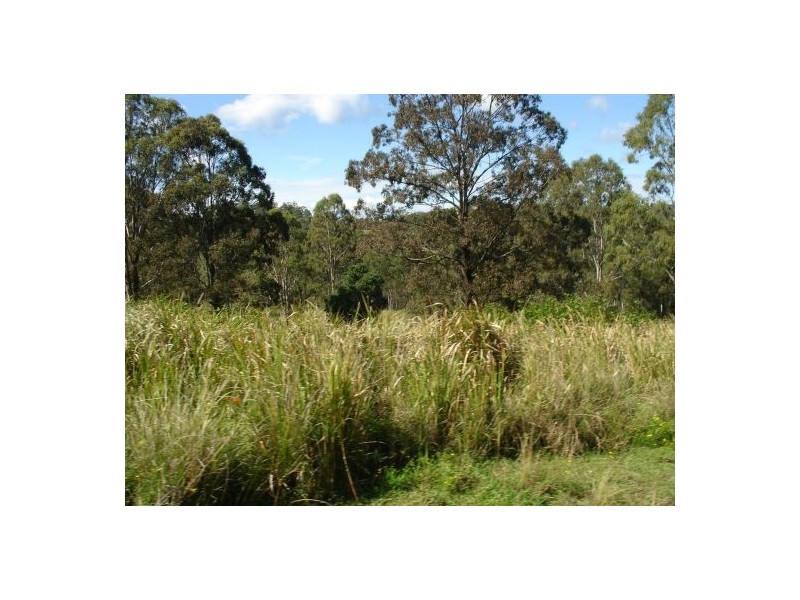Lot 2 1090 Hogarth Range Road, Mongogarie NSW 2470