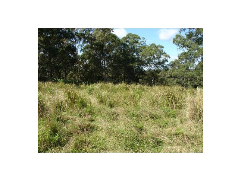 Lot 2 1090 Hogarth Range Road, Mongogarie NSW 2470