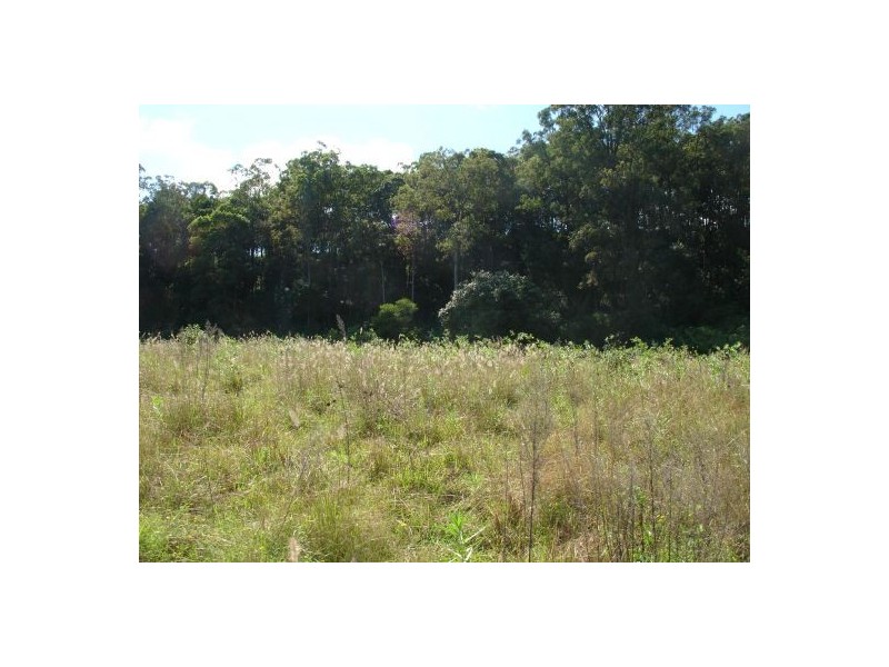 Lot 2 1090 Hogarth Range Road, Mongogarie NSW 2470
