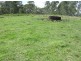 Lot 3 1090 Hogarth Range Road, Mongogarie NSW 2470