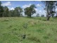 Lot 3 1090 Hogarth Range Road, Mongogarie NSW 2470