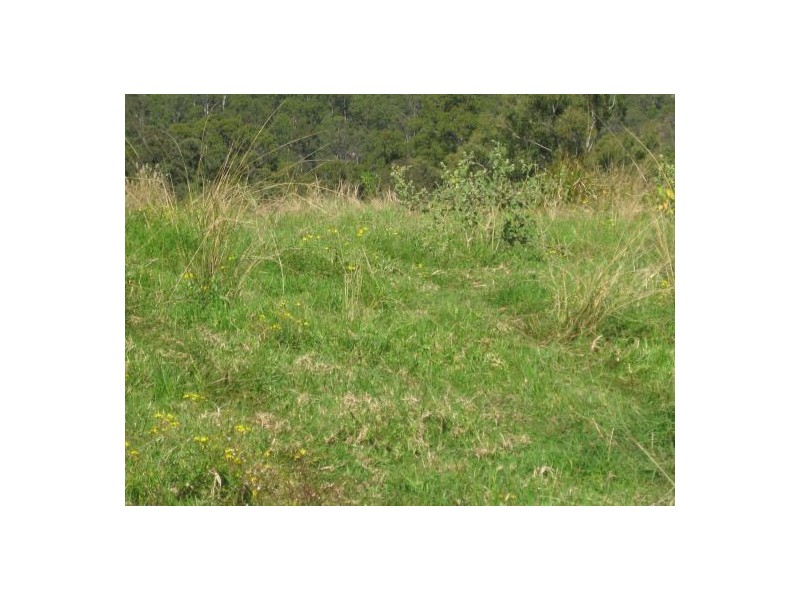 Lot 3 1090 Hogarth Range Road, Mongogarie NSW 2470