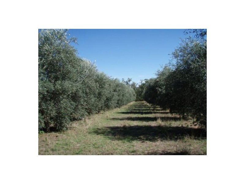 Harvest Home Road, Bellata NSW 2397