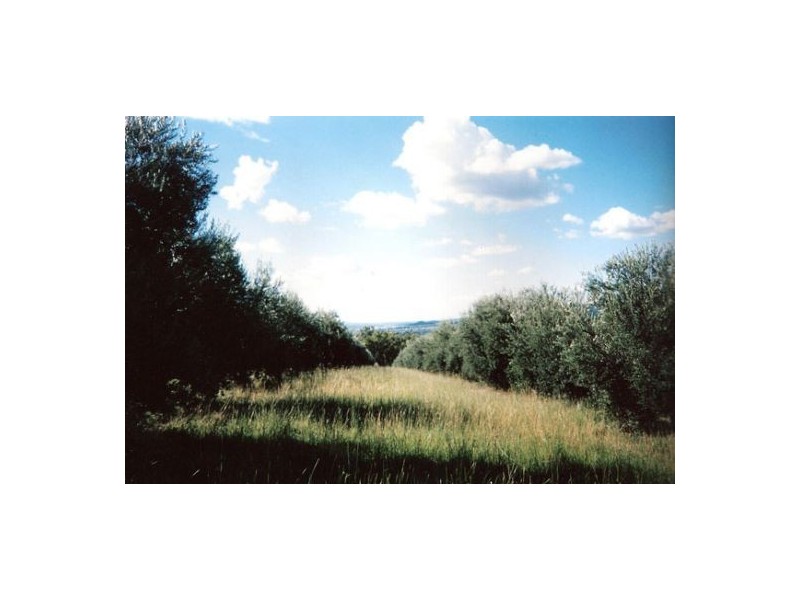 Harvest Home Road, Bellata NSW 2397