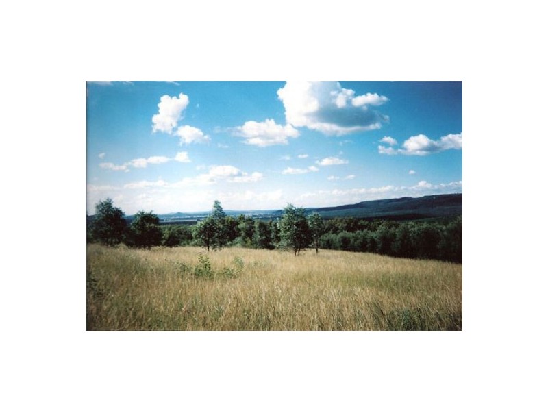 Harvest Home Road, Bellata NSW 2397