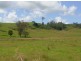 1038 Summerland Way, Kyogle NSW 2474