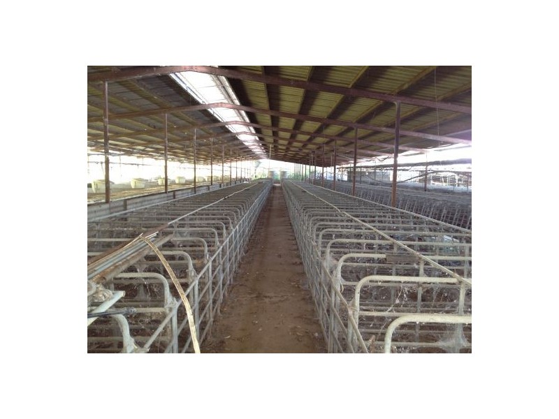 1038 Summerland Way, Kyogle NSW 2474