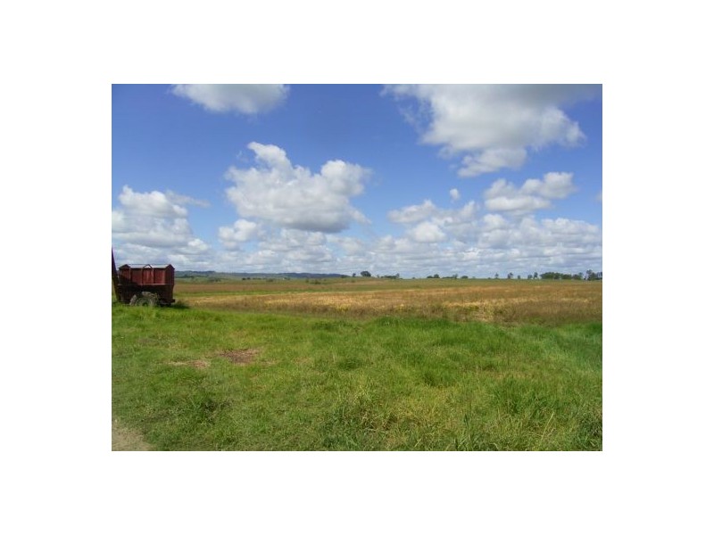 12176 Summerland Way, Cedar Point NSW 2474