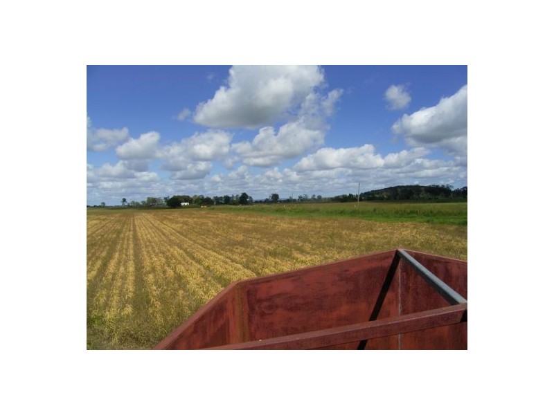 12176 Summerland Way, Cedar Point NSW 2474