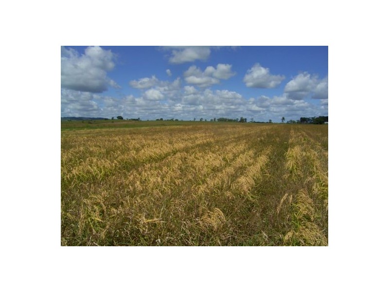 12176 Summerland Way, Cedar Point NSW 2474