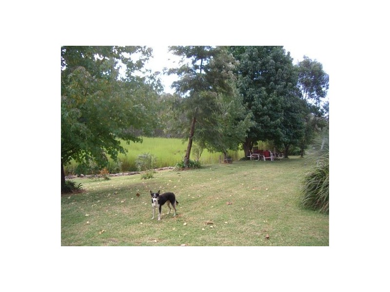 1021a Long Gully Rd, Drake NSW 2469