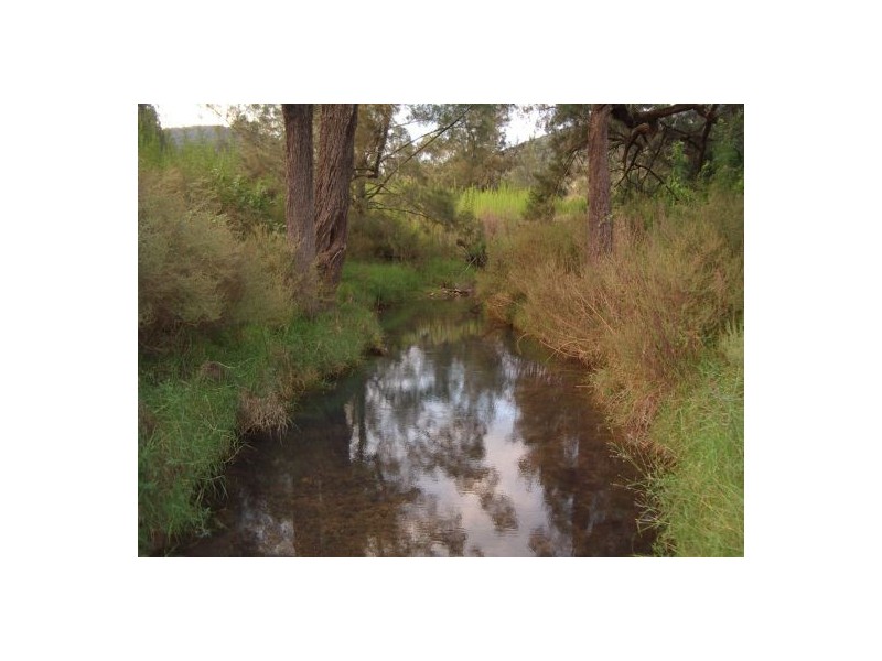 1021a Long Gully Rd, Drake NSW 2469