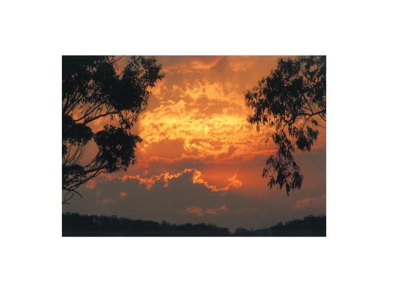 Drake NSW 2469