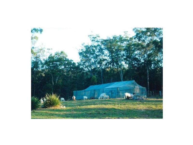 Drake NSW 2469