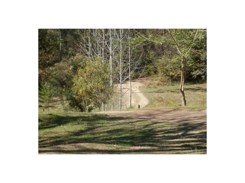 492 Ewingar Rd, Ewingar NSW 2469