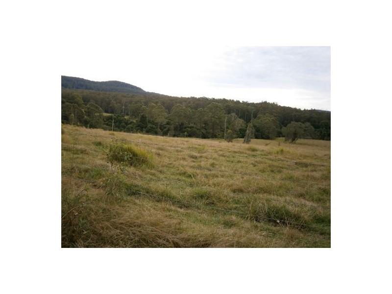 Lot 1 Mills Rd, Old Bonalbo NSW 2469
