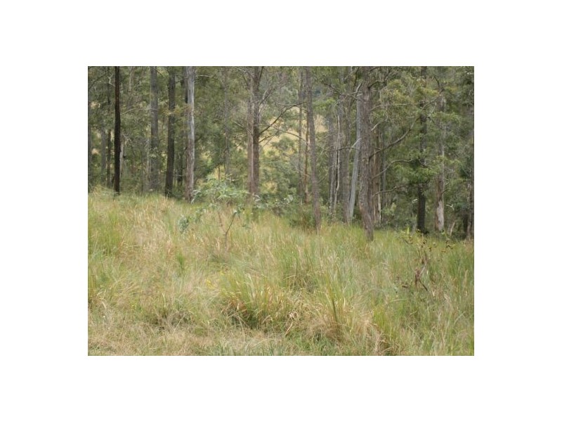 Lot 1 Mills Rd, Old Bonalbo NSW 2469