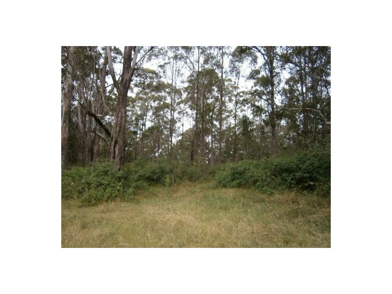 Lot 1 Mills Rd, Old Bonalbo NSW 2469