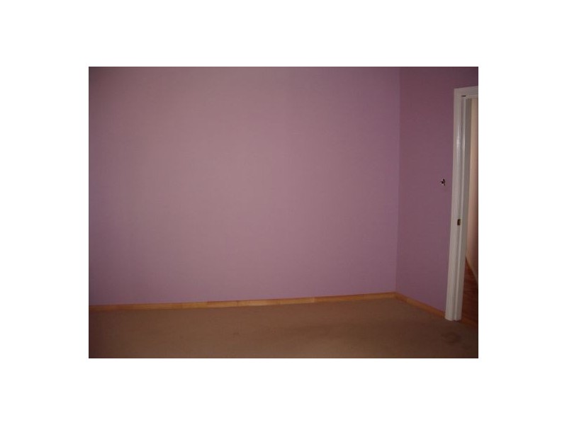 312 Long Gully Rd, Drake NSW 2469