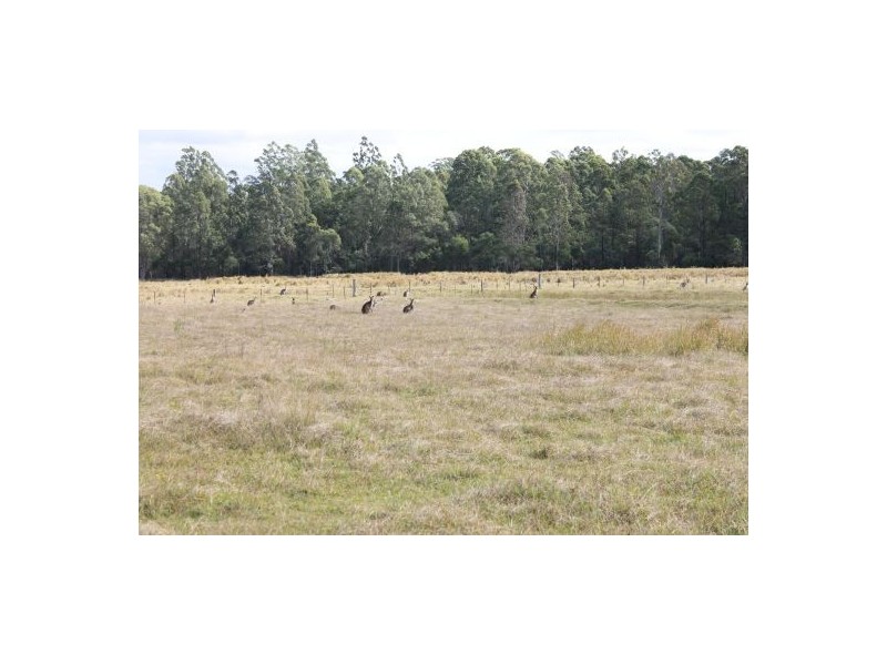 635 Avenue Road, Ellangowan NSW 2470