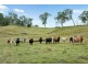 Lot 21 1a2 Mayfield Estate, Kyogle NSW 2474