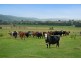 Kyogle NSW 2474