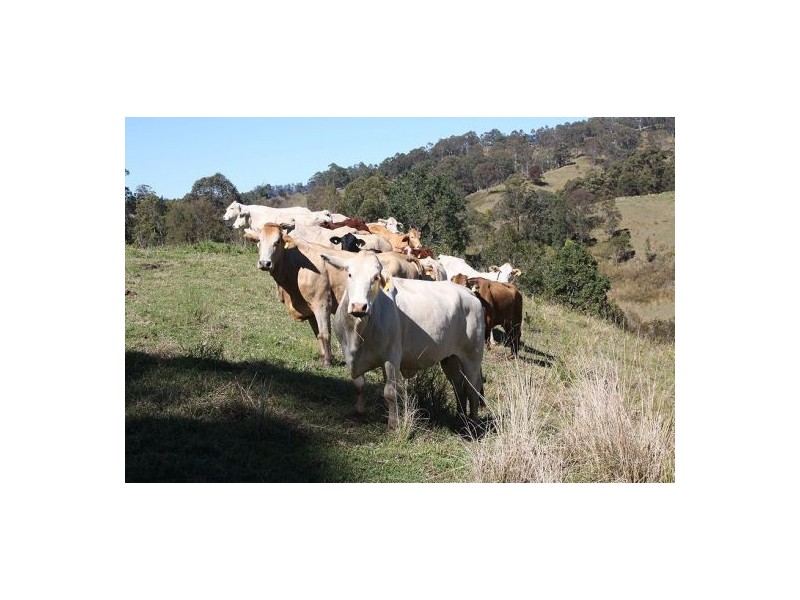 183a Williams Road, Cawongla NSW 2474