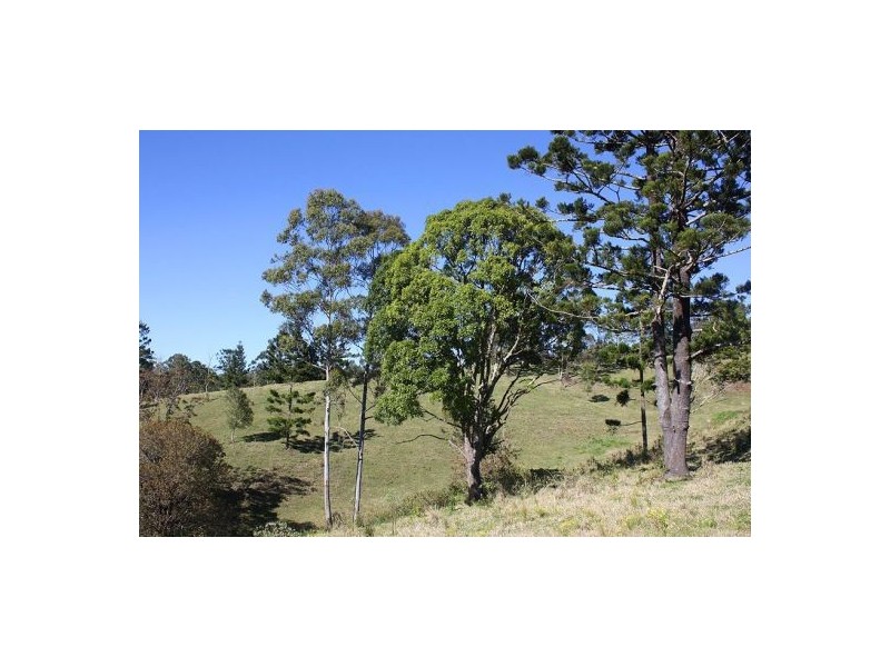 183a Williams Road, Cawongla NSW 2474