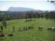 183 Williams Road, Cawongla NSW 2474
