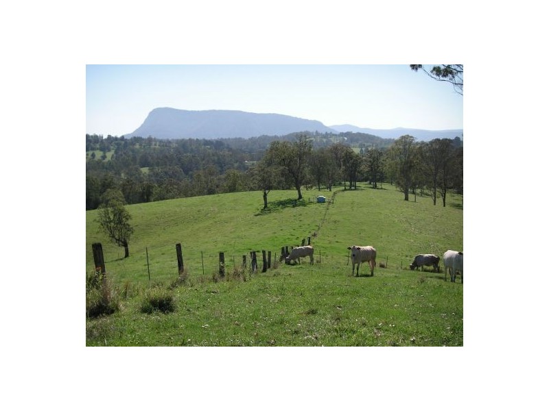 183 Williams Road, Cawongla NSW 2474