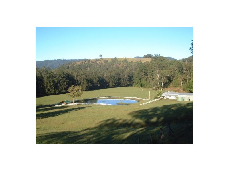 183 Williams Road, Cawongla NSW 2474