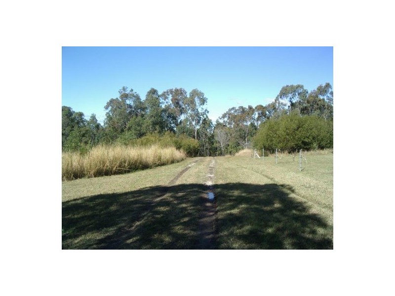 629 North Ewingar Rd, Ewingar NSW 2469