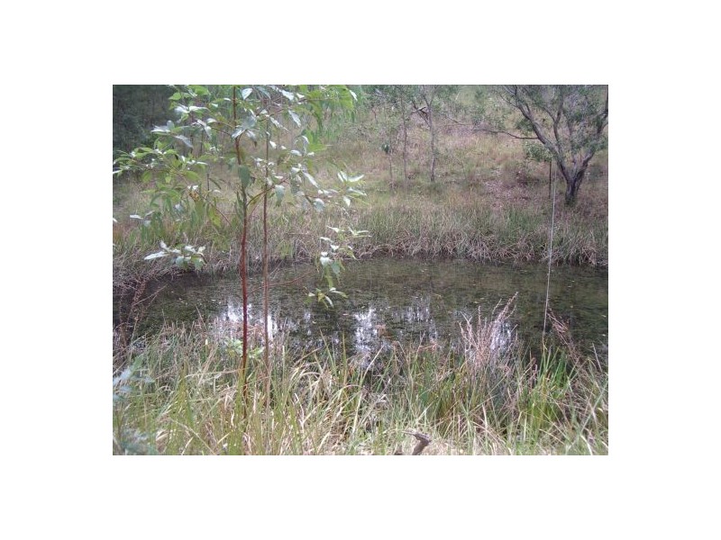 629 North Ewingar Rd, Ewingar NSW 2469