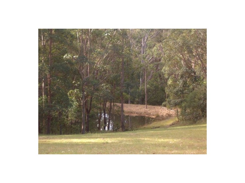 629 North Ewingar Rd, Ewingar NSW 2469