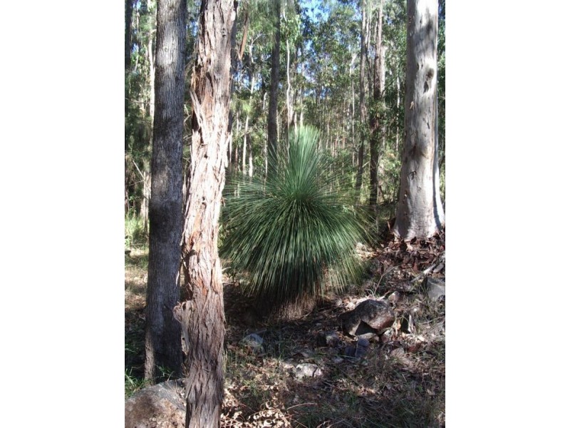 201 Bellbird Rd, Drake NSW 2469