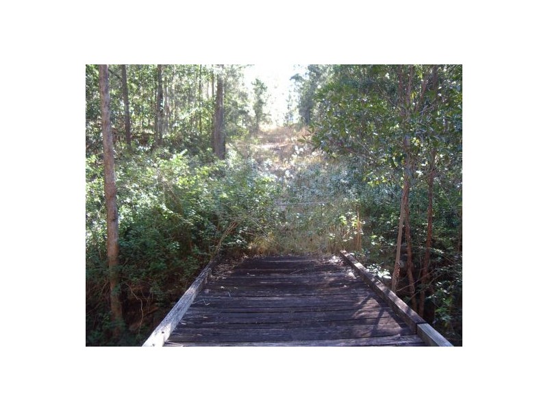 201 Bellbird Rd, Drake NSW 2469