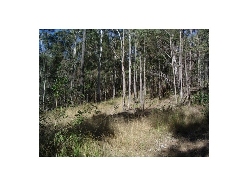 201 Bellbird Rd, Drake NSW 2469