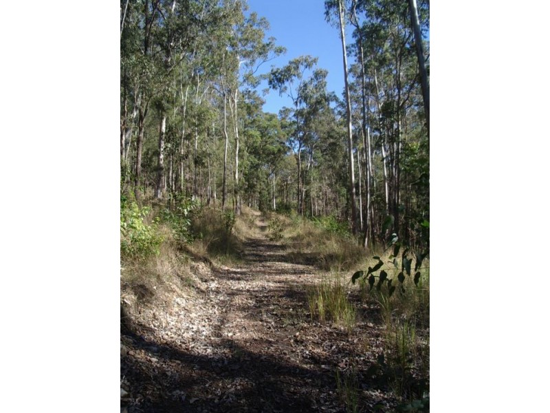 201 Bellbird Rd, Drake NSW 2469