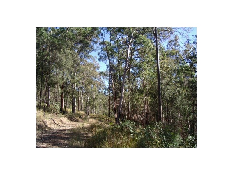 201 Bellbird Rd, Drake NSW 2469