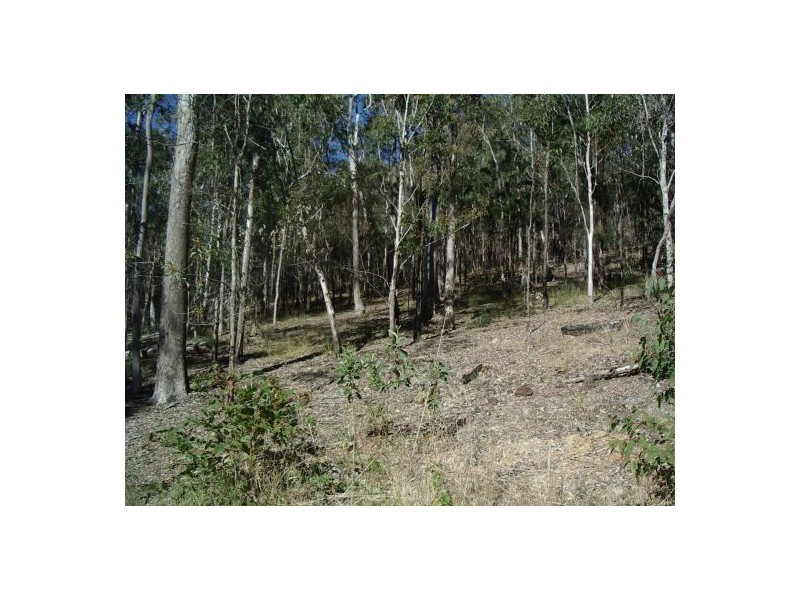 201 Bellbird Rd, Drake NSW 2469