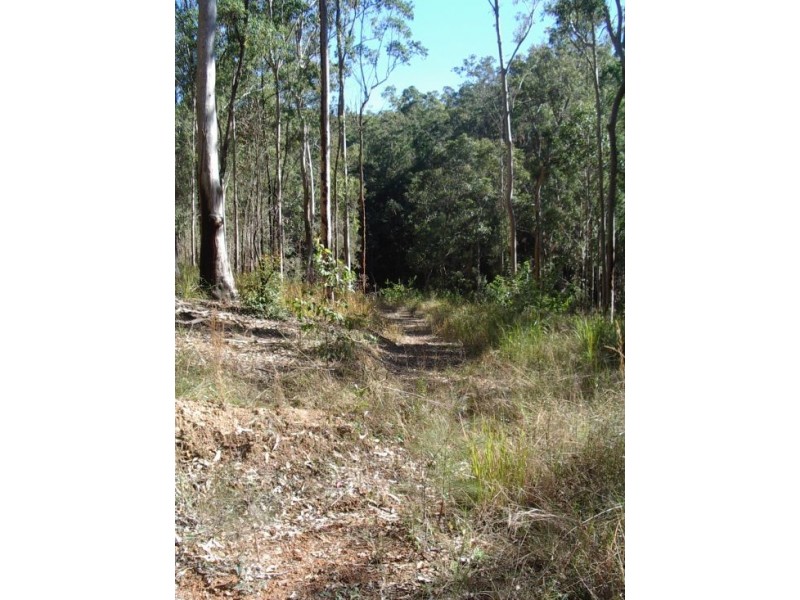 201 Bellbird Rd, Drake NSW 2469