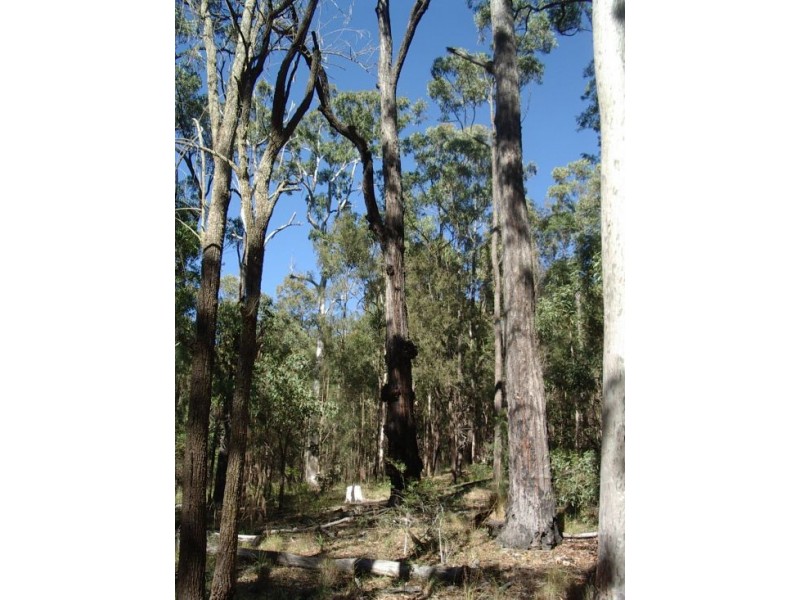 202 Bellbird Rd, Drake NSW 2469