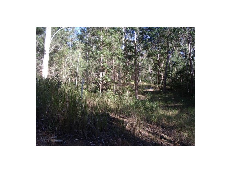 202 Bellbird Rd, Drake NSW 2469